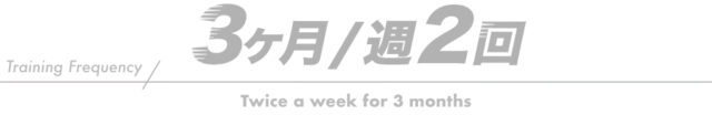 3ヶ月週2回